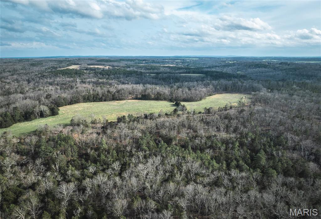 5262 Pinkston Road Ste. Genevieve, MO 63670 - Photo 19 of 83