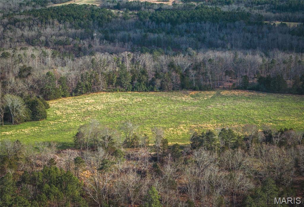 5262 Pinkston Road Ste. Genevieve, MO 63670 - Photo 20 of 83