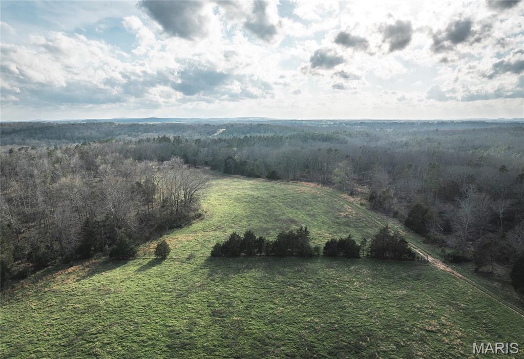 5262 Pinkston Road Ste. Genevieve, MO 63670 - Photo 36 of 83