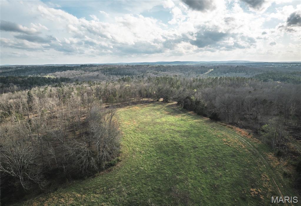 5262 Pinkston Road Ste. Genevieve, MO 63670 - Photo 37 of 83