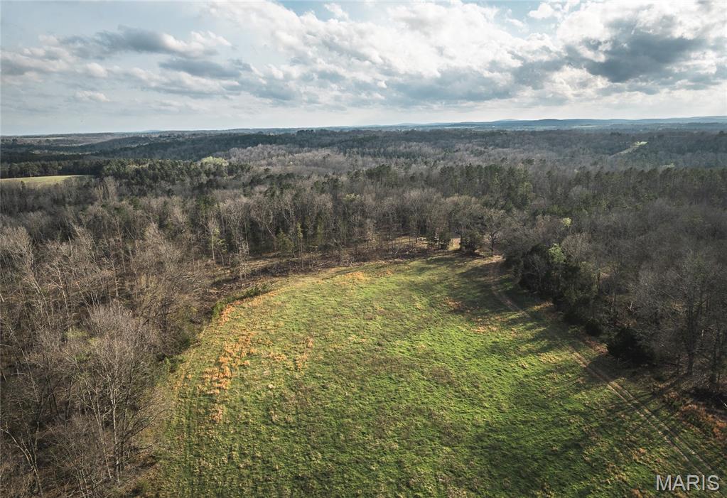 5262 Pinkston Road Ste. Genevieve, MO 63670 - Photo 38 of 83