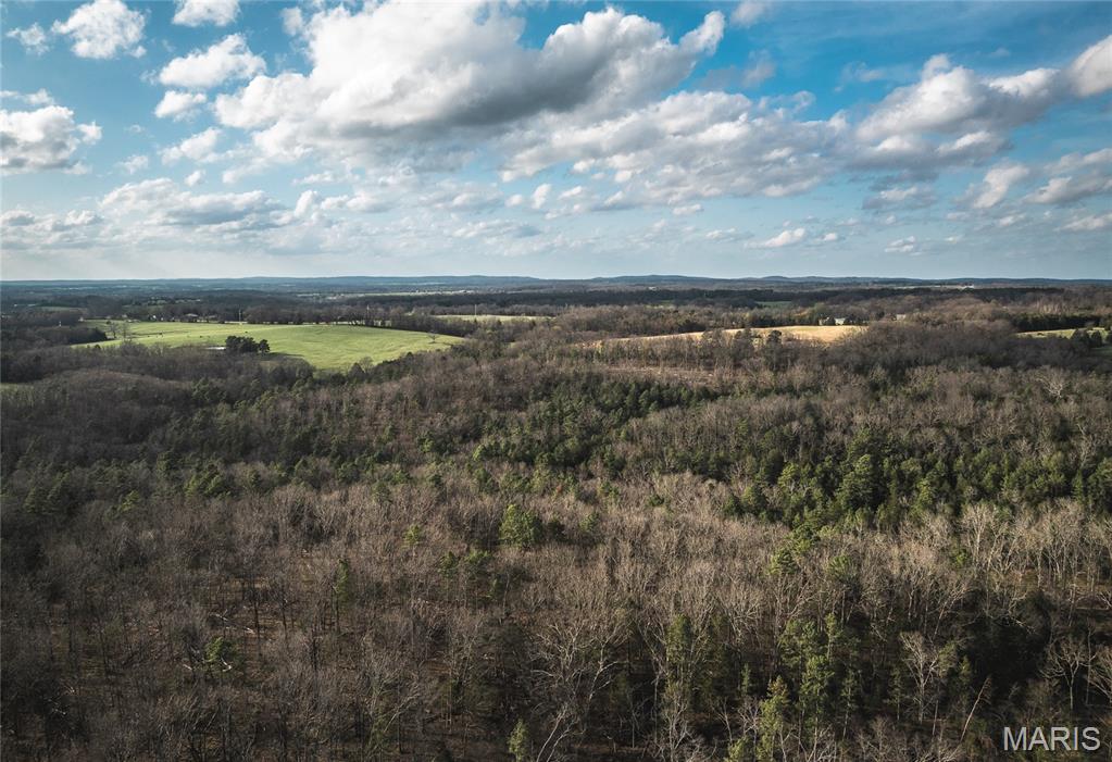 5262 Pinkston Road Ste. Genevieve, MO 63670 - Photo 39 of 83