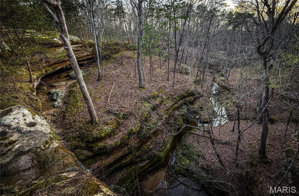 5262 Pinkston Road Ste. Genevieve, MO 63670 - Photo 4 of 83