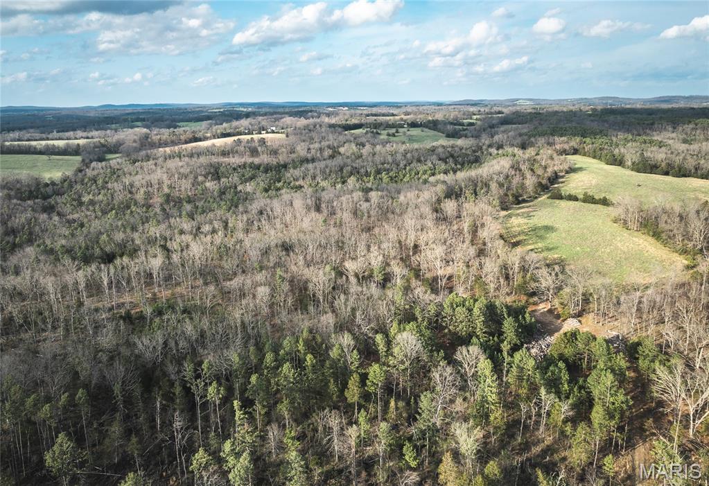 5262 Pinkston Road Ste. Genevieve, MO 63670 - Photo 42 of 83