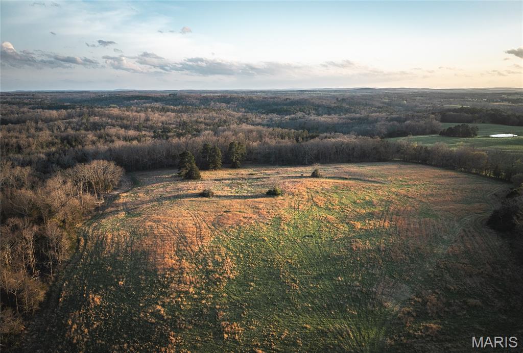 5262 Pinkston Road Ste. Genevieve, MO 63670 - Photo 43 of 83