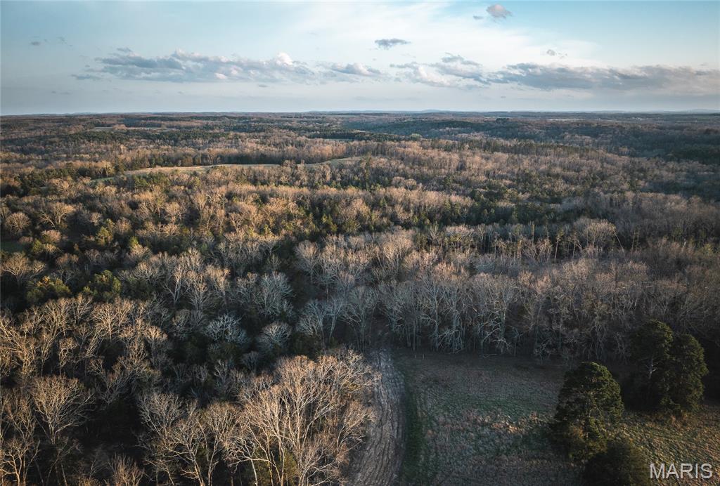 5262 Pinkston Road Ste. Genevieve, MO 63670 - Photo 44 of 83