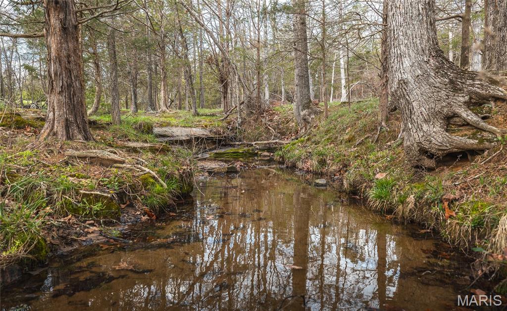5262 Pinkston Road Ste. Genevieve, MO 63670 - Photo 55 of 83