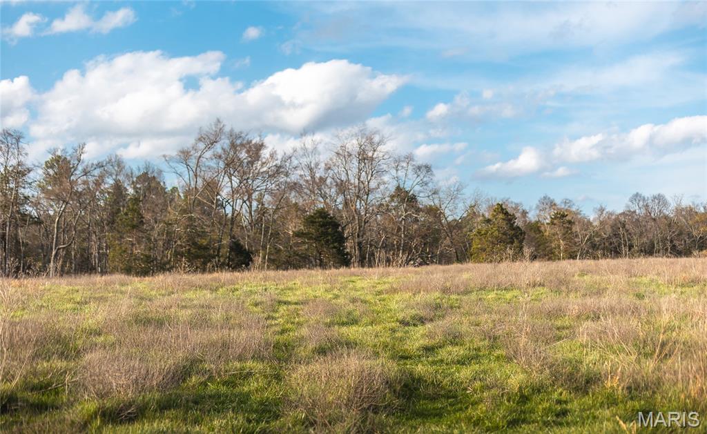 5262 Pinkston Road Ste. Genevieve, MO 63670 - Photo 61 of 83