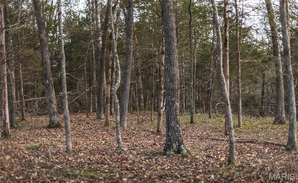 5262 Pinkston Road Ste. Genevieve, MO 63670 - Photo 63 of 83