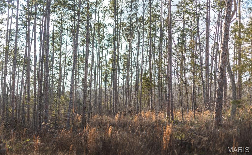 5262 Pinkston Road Ste. Genevieve, MO 63670 - Photo 66 of 83