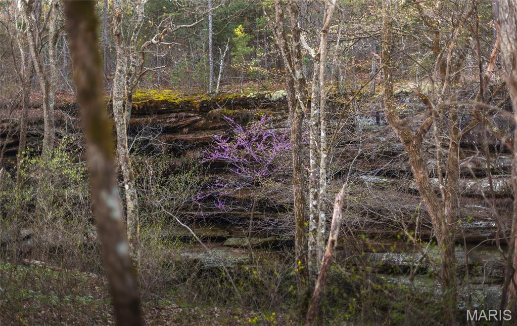 5262 Pinkston Road Ste. Genevieve, MO 63670 - Photo 67 of 83