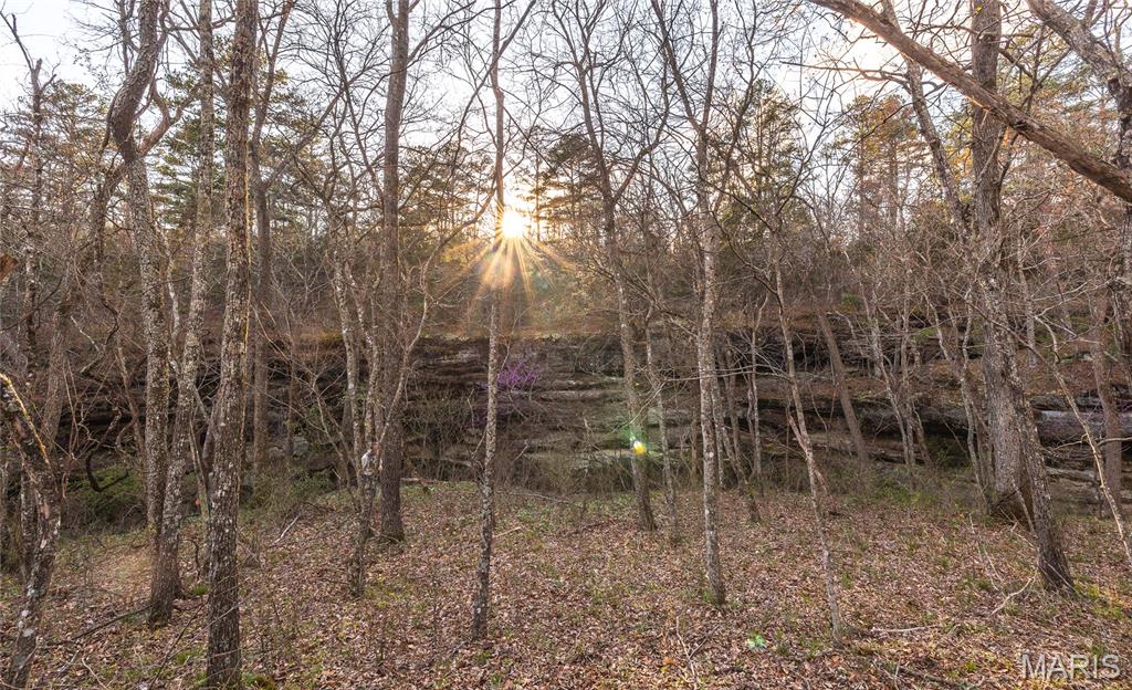 5262 Pinkston Road Ste. Genevieve, MO 63670 - Photo 72 of 83