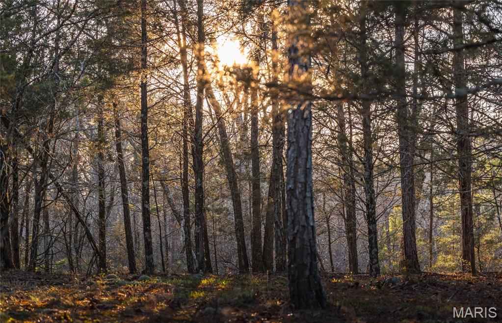 5262 Pinkston Road Ste. Genevieve, MO 63670 - Photo 76 of 83