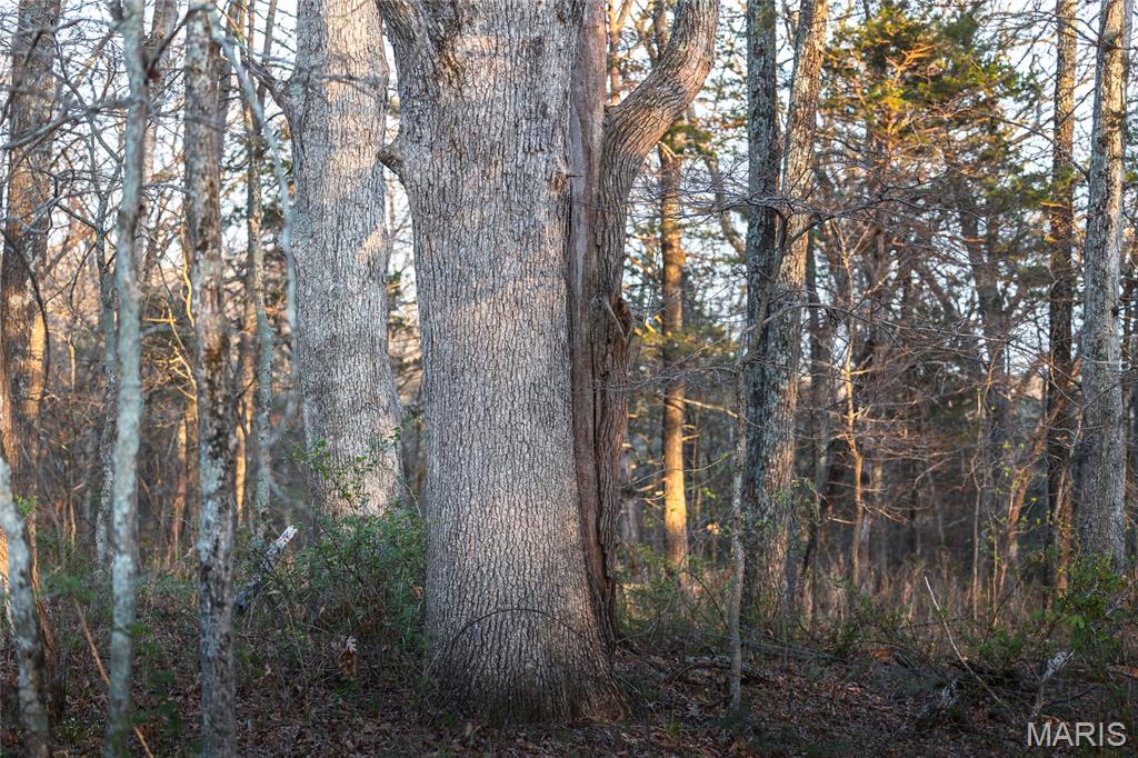 5262 Pinkston Road Ste. Genevieve, MO 63670 - Photo 77 of 83
