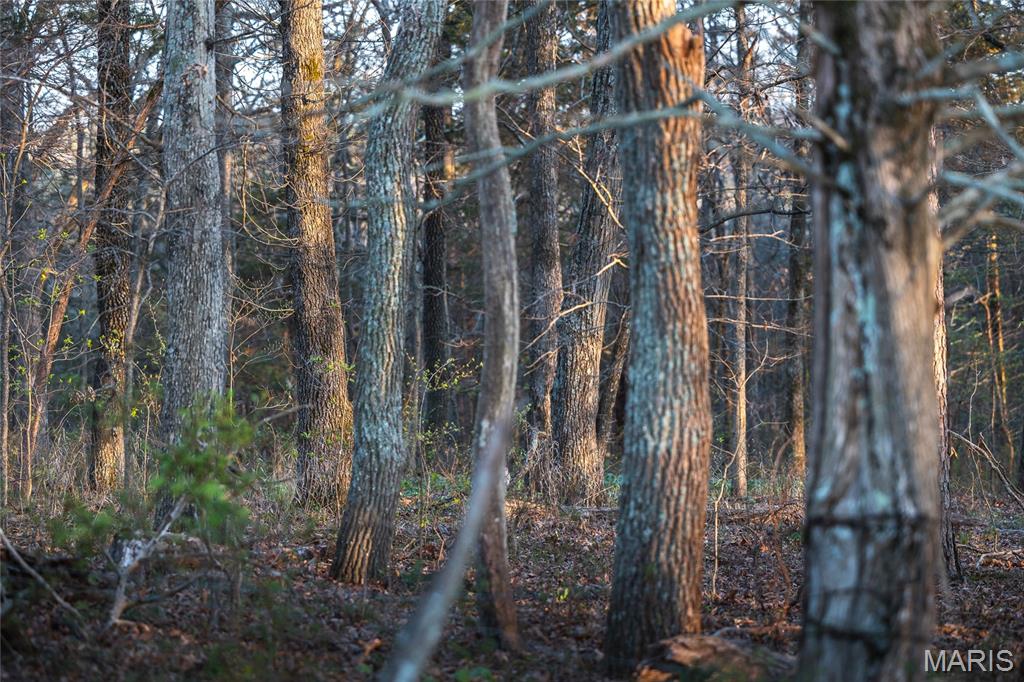 5262 Pinkston Road Ste. Genevieve, MO 63670 - Photo 78 of 83