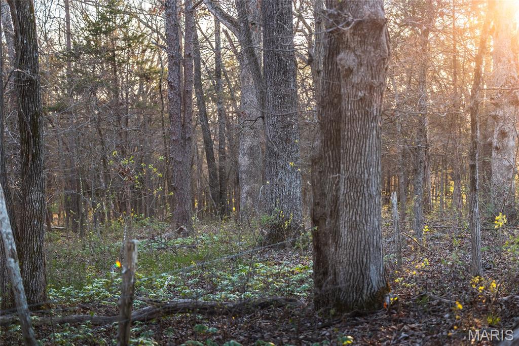 5262 Pinkston Road Ste. Genevieve, MO 63670 - Photo 79 of 83