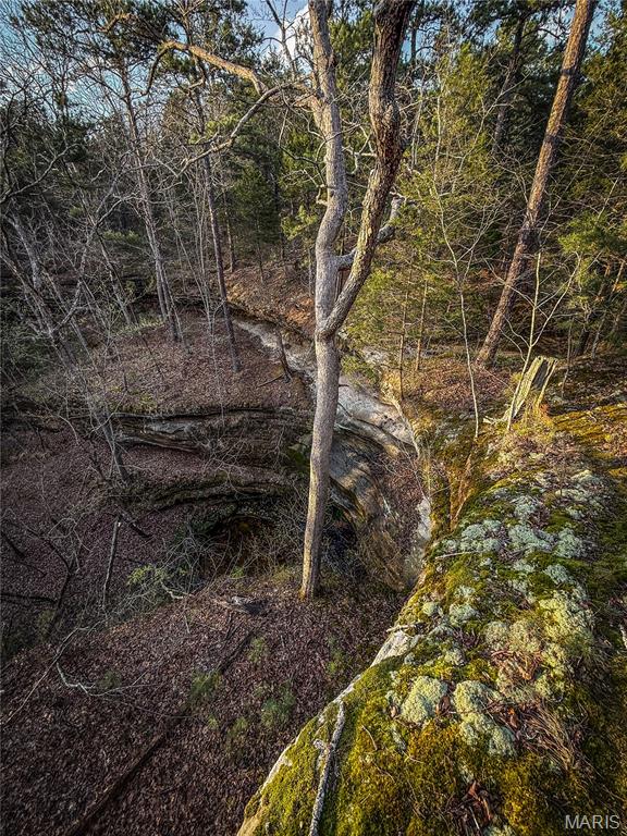 5262 Pinkston Road Ste. Genevieve, MO 63670 - Photo 81 of 83