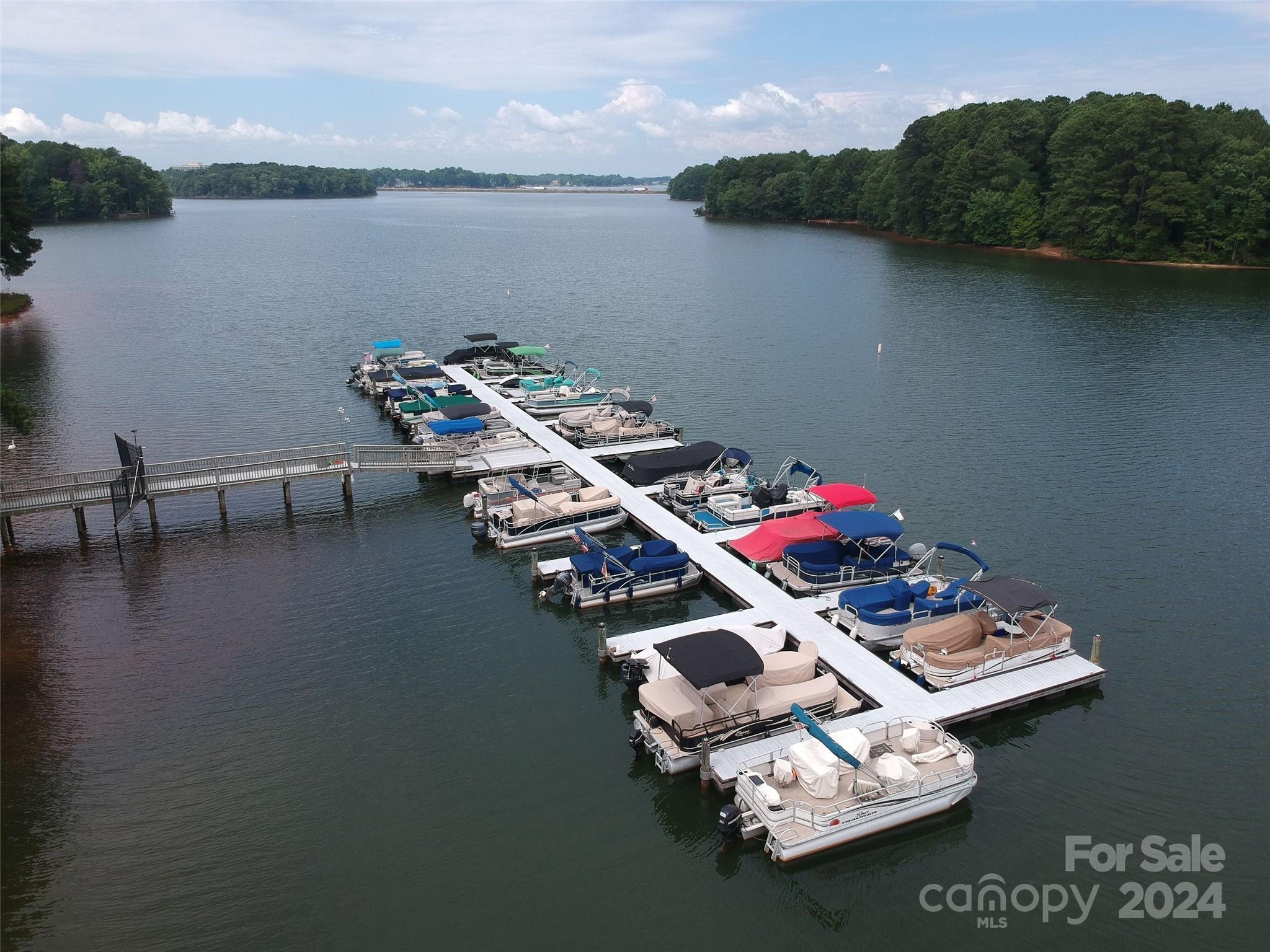 176 Lavender Bloom Loop Mooresville, NC 28115 - Photo 6 of 20