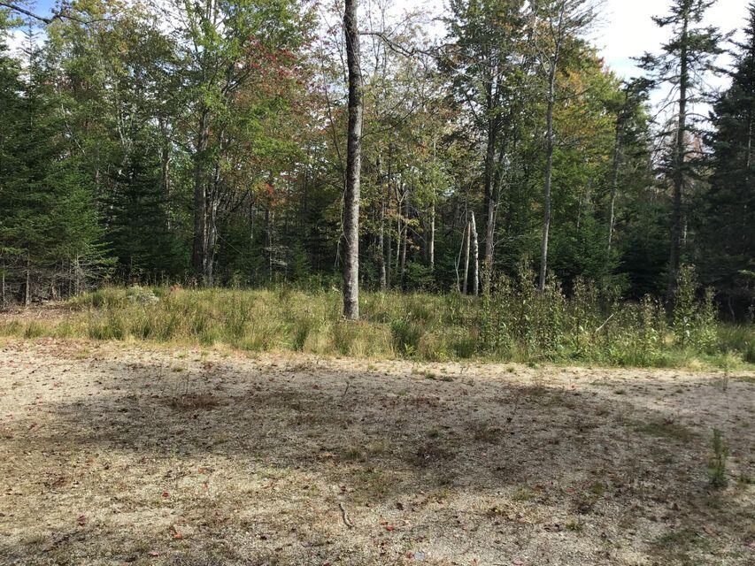 8 South Road Lamoine, ME 04605 - Photo 5 of 10 20211007145519273251000000-o