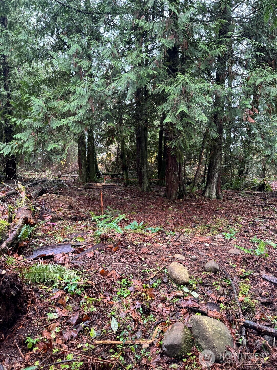 40980 228th Avenue Southeast Enumclaw, WA 98022 - Photo 11 of 32 a backyard of a house with lots of green space
