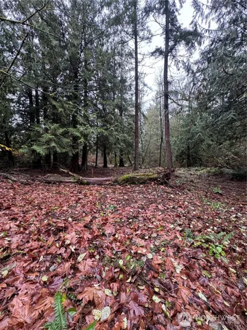 a view of outdoor space