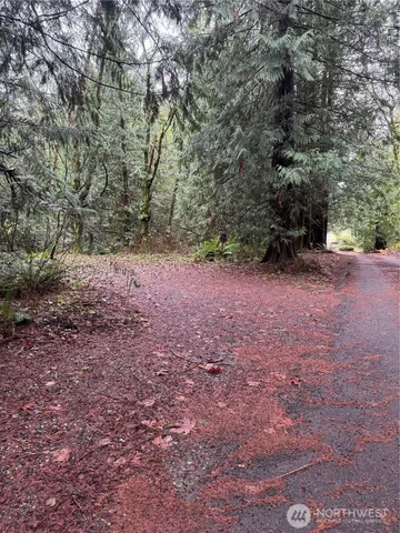 a view of a yard with a tree
