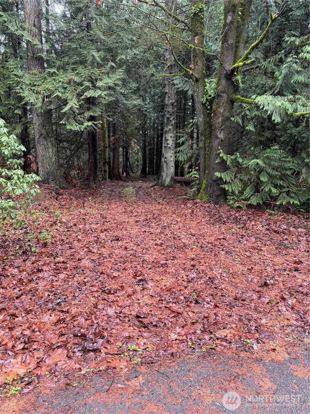 40980 228th Avenue Southeast Enumclaw, WA 98022 - Photo 16 of 32 a backyard of a house with lots of green space
