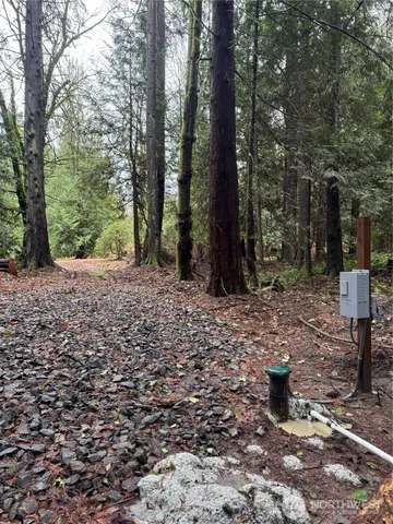 a backyard of a house with lots of green space