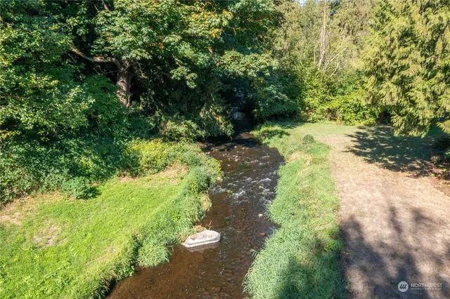 a view of a garden with plants
