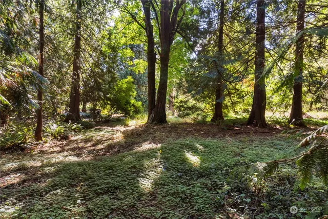 a view of outdoor space and yard