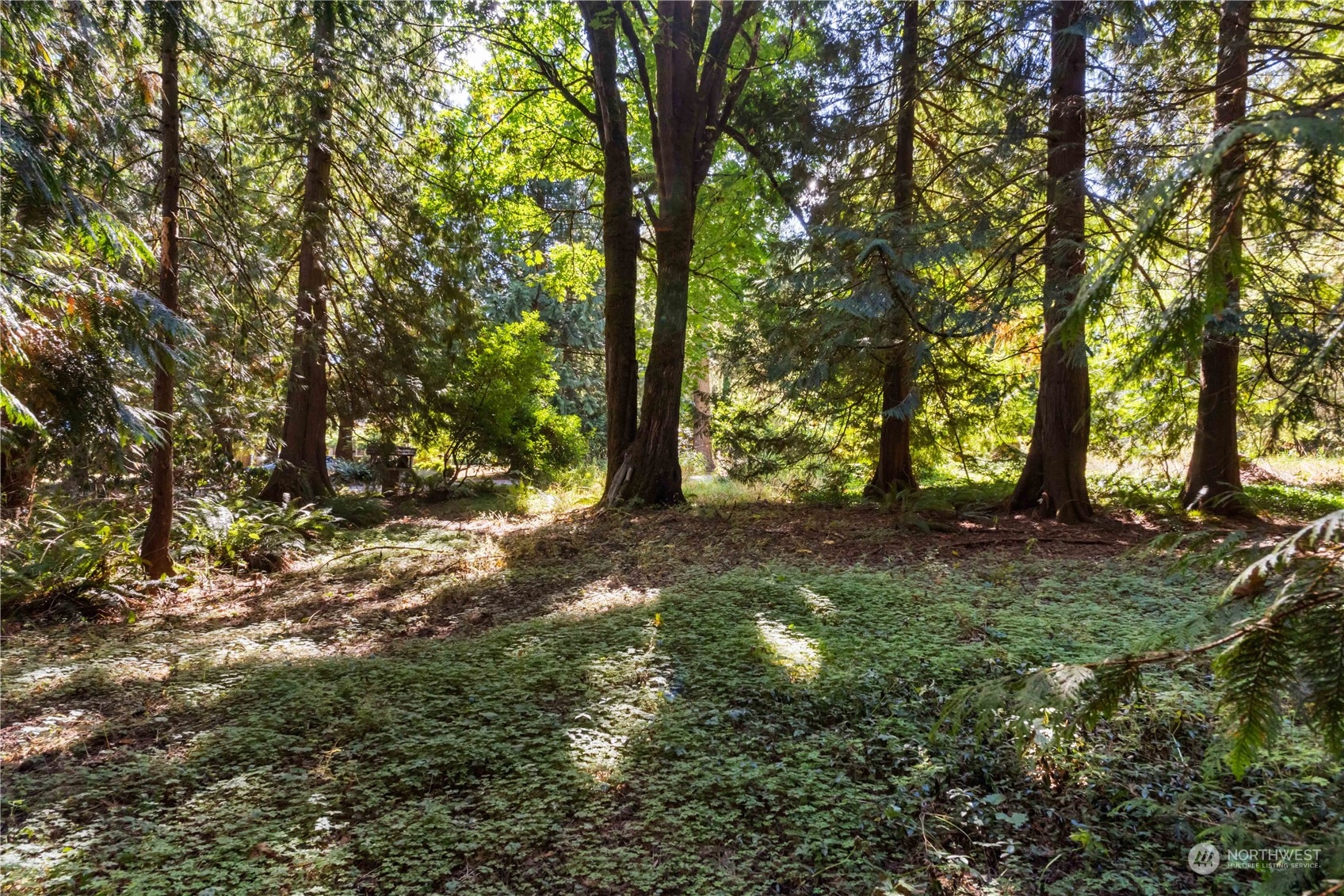 40980 228th Avenue Southeast Enumclaw, WA 98022 - Photo 22 of 32 a view of outdoor space and yard