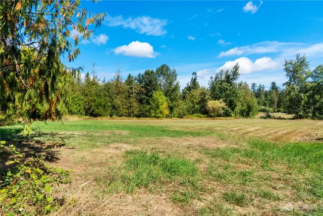 a view of a green field