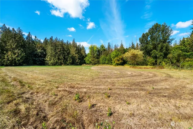 a view of a field with trees in the background