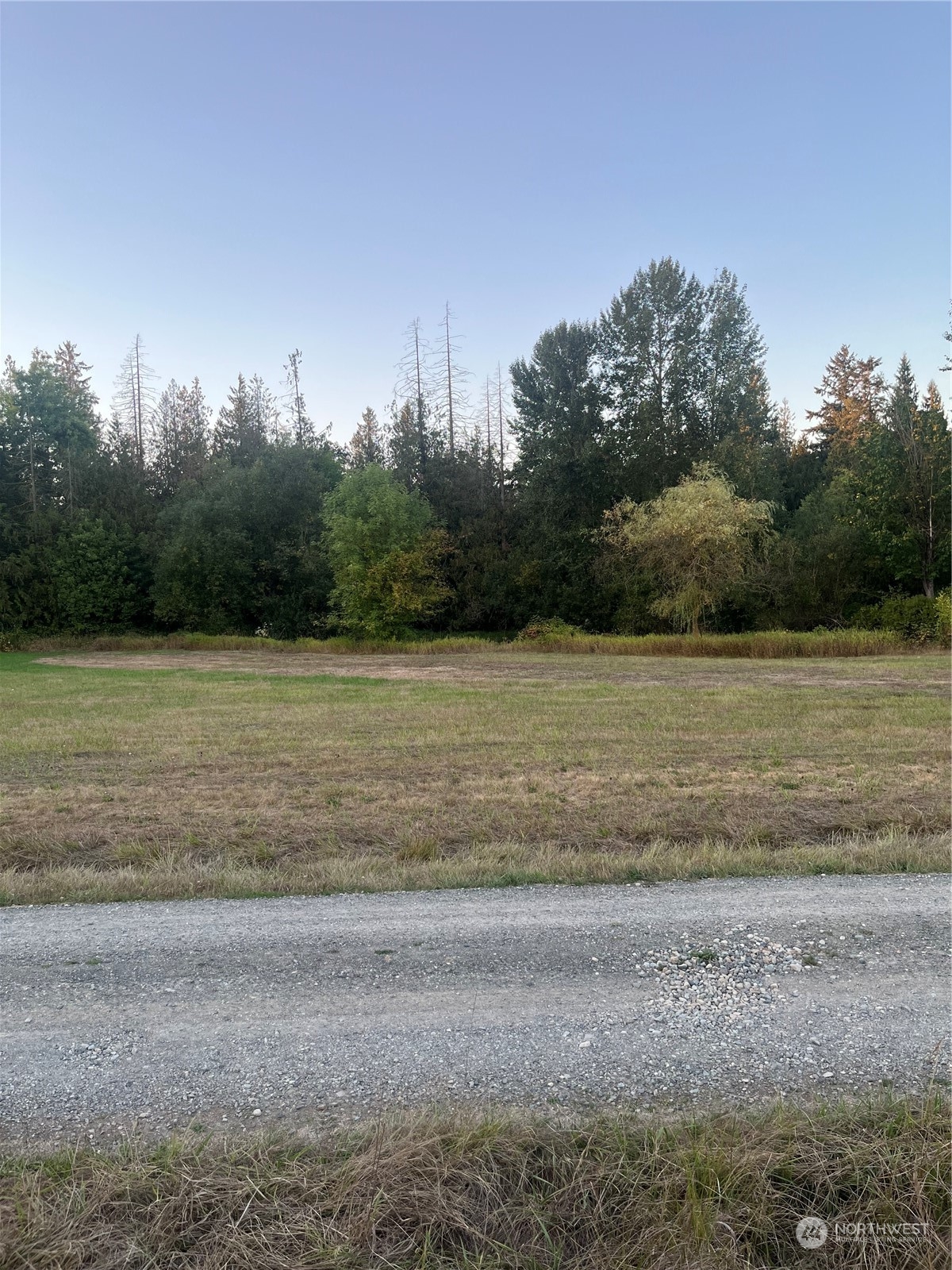 40980 228th Avenue Southeast Enumclaw, WA 98022 - Photo 25 of 32 a view of a field with trees in background