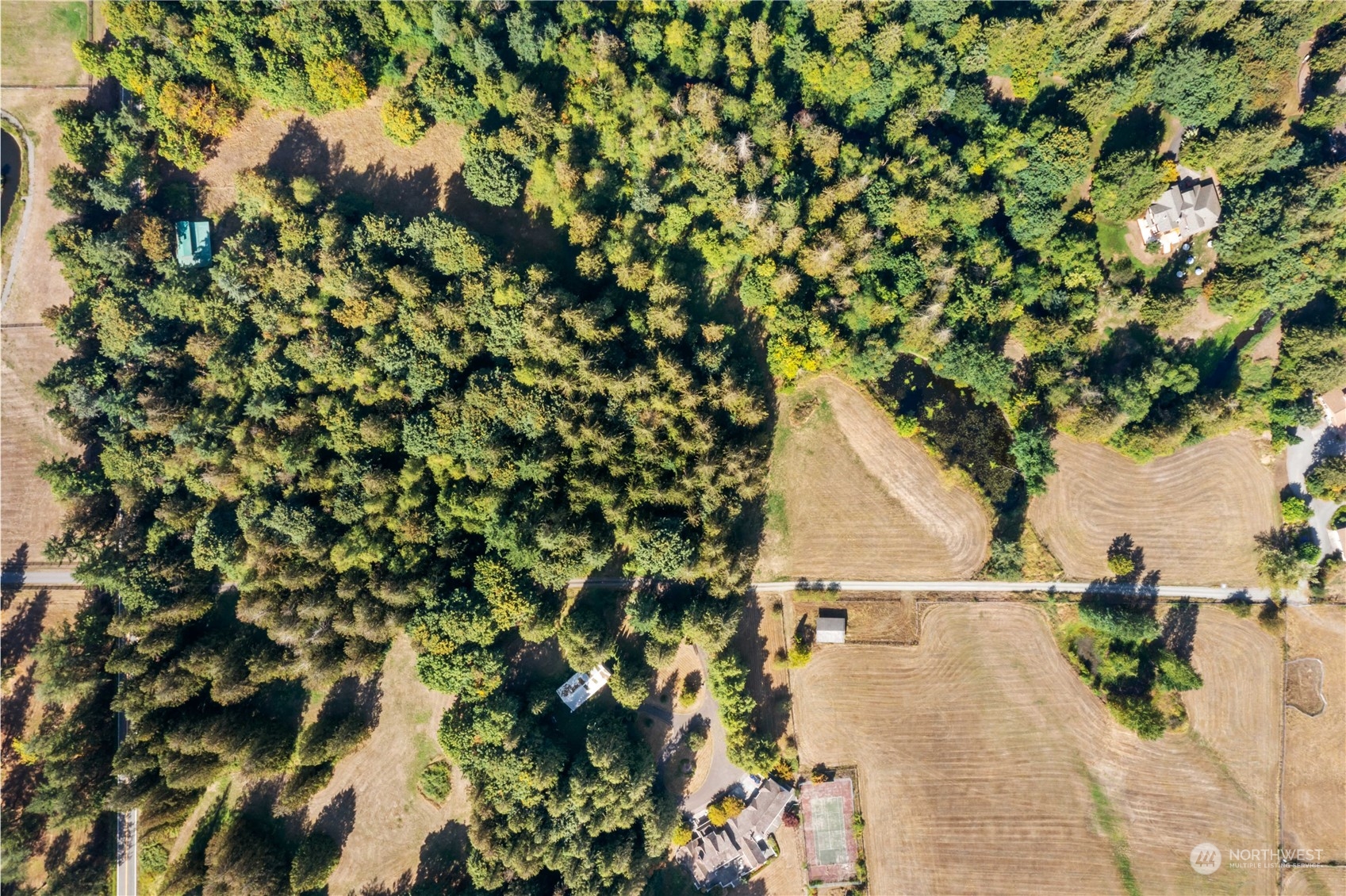40980 228th Avenue Southeast Enumclaw, WA 98022 - Photo 29 of 32 a view of a yard