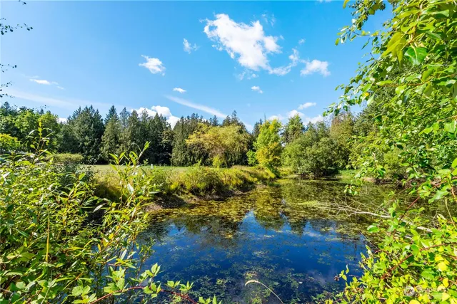 a view of a big yard with lots of green space