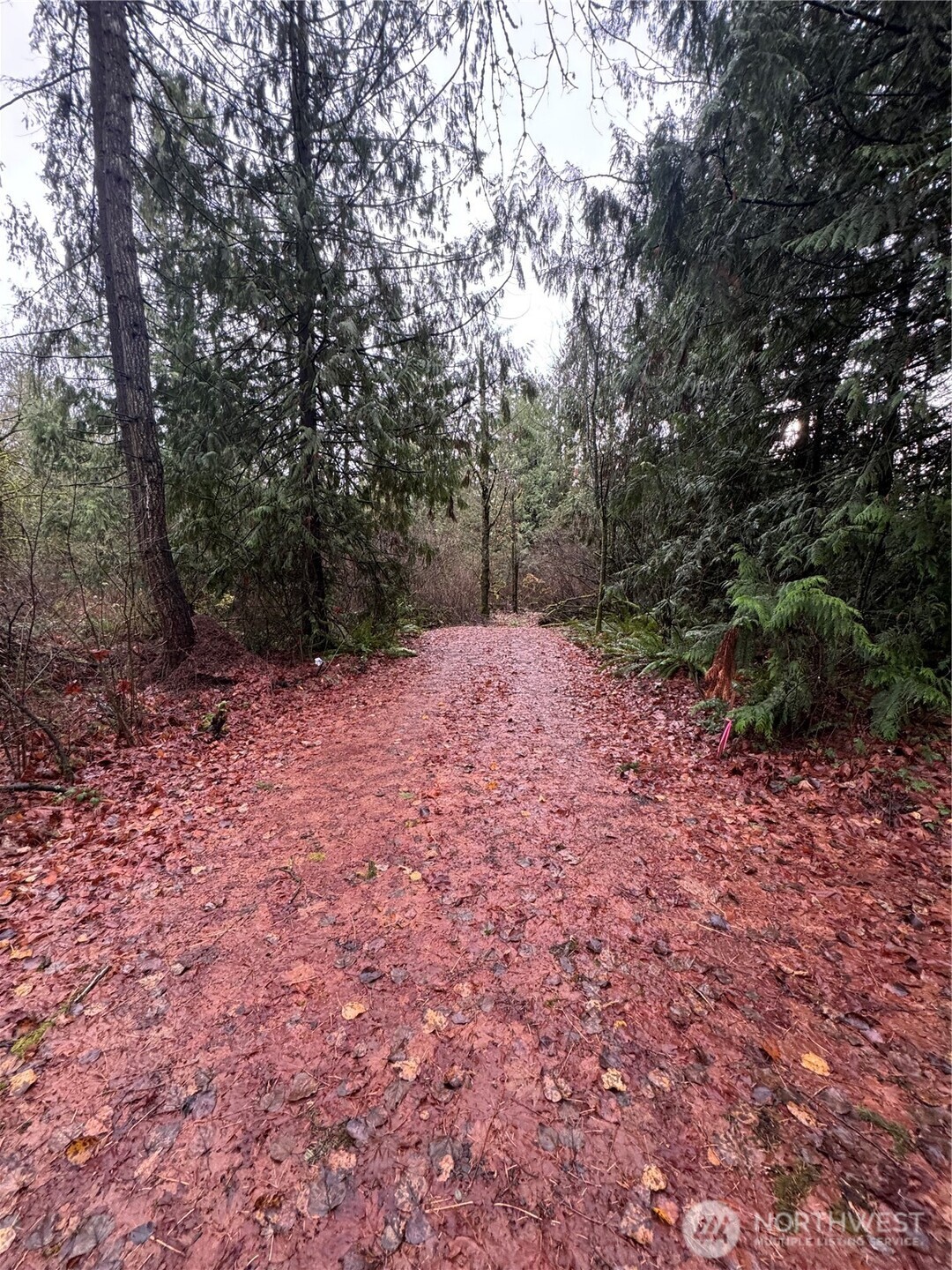 40980 228th Avenue Southeast Enumclaw, WA 98022 - Photo 10 of 32 a backyard of a house with lots of green space