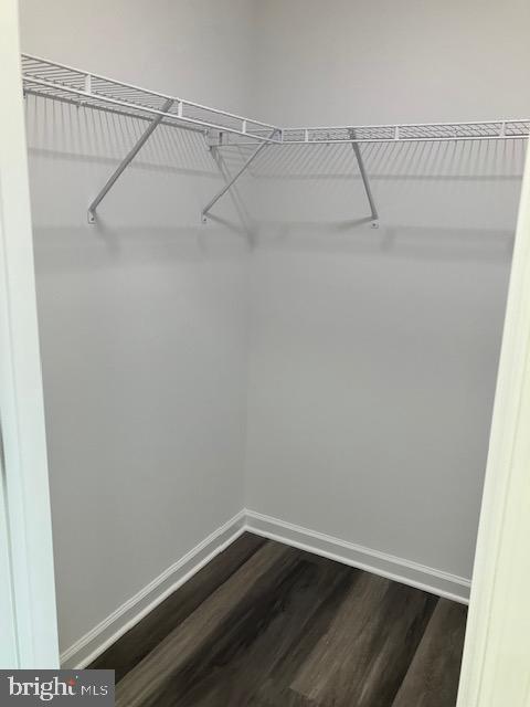 111 Heulings Avenue Riverside, NJ 08075 - Photo 45 of 61