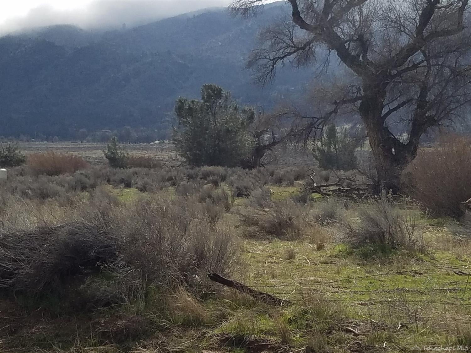 0 Walker Basin Road Caliente, CA 93518 - Photo 8 of 10 Gallery Image 8