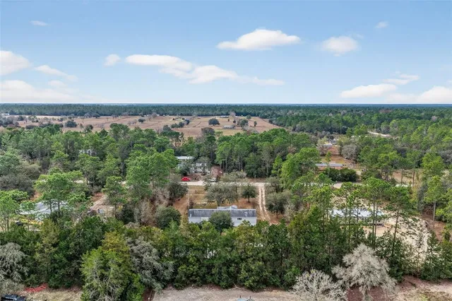 a view of a city with lush green forest