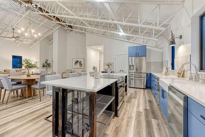 1282 South Crystal Road Lake George, CO 80827 - Photo 21 of 26 Kitchen with blue cabinetry, a chandelier, stainless steel appliances, light wood-style flooring, and light countertops