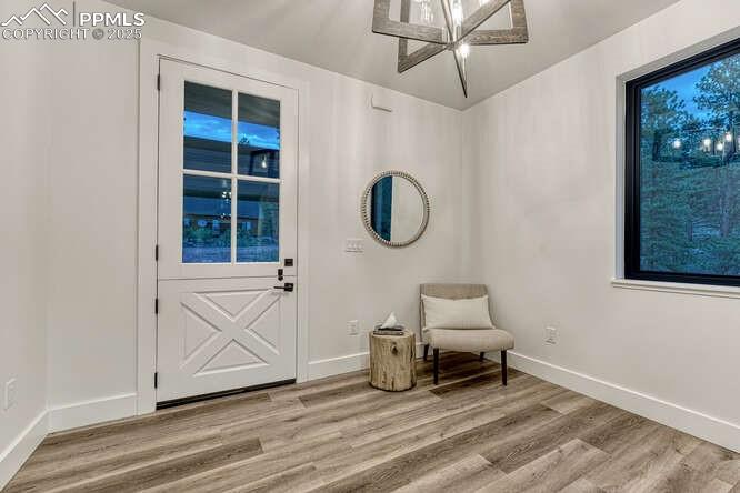 1282 South Crystal Road Lake George, CO 80827 - Photo 26 of 26 Foyer featuring light wood-type flooring