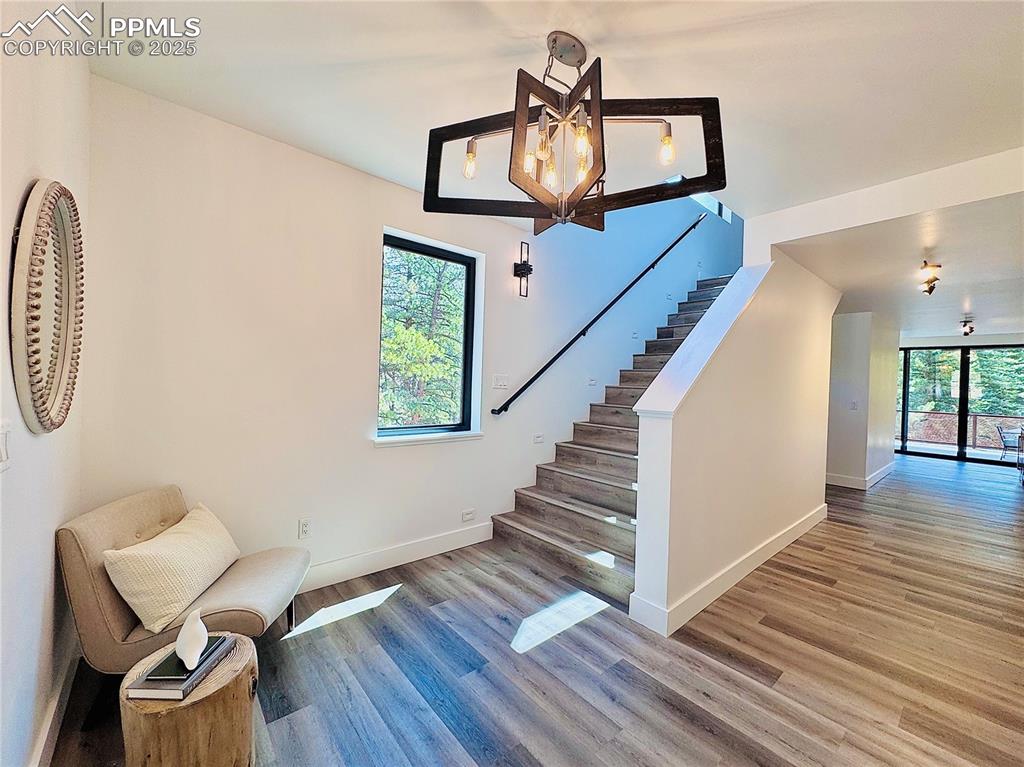 1282 South Crystal Road Lake George, CO 80827 - Photo 3 of 26 Cozy entryway leading either to upstairs or non-conforming room and wet bar