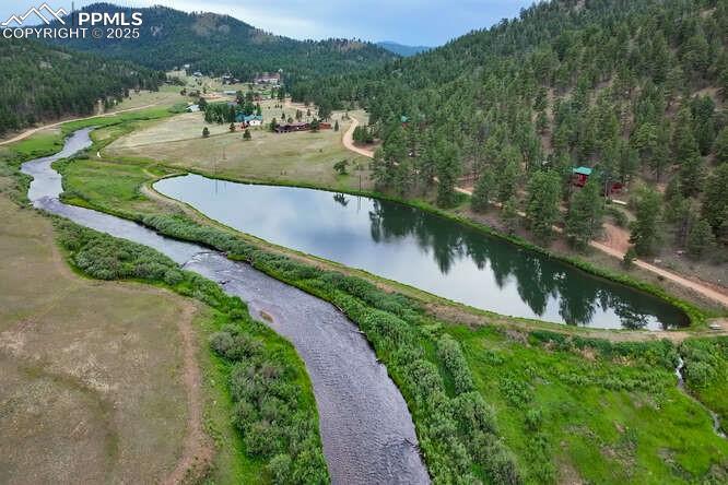 1282 South Crystal Road Lake George, CO 80827 - Photo 9 of 26 View of property's community with a water and mountain view and a forest view