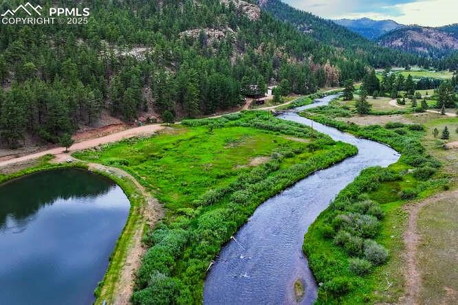 1282 South Crystal Road Lake George, CO 80827 - Photo 10 of 26 View of community with a water and mountain view