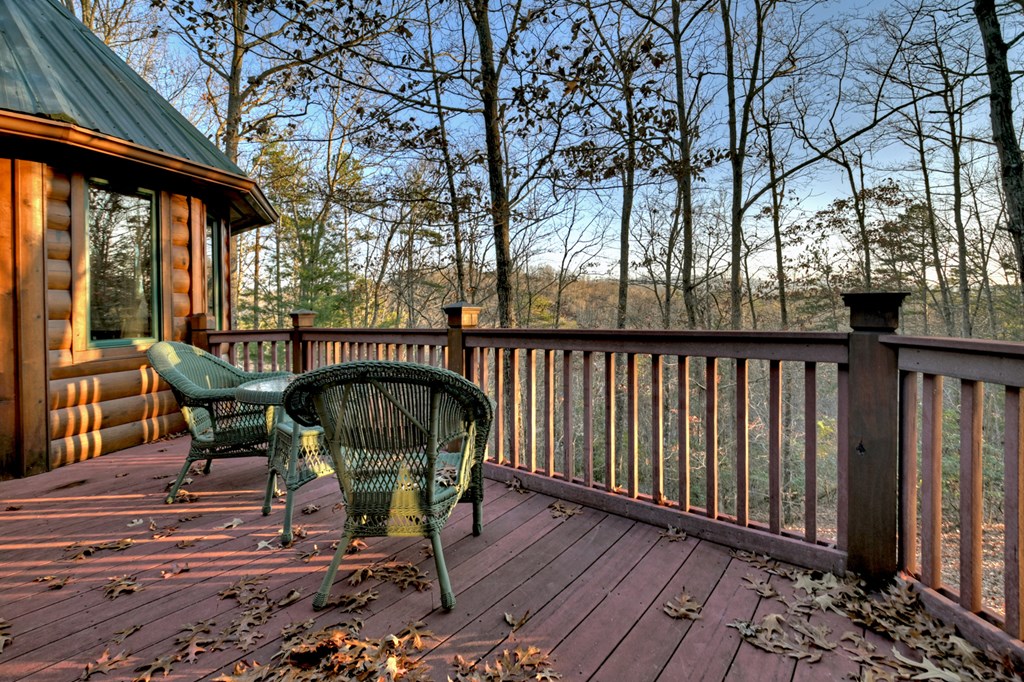2220 Mountain Tops Road Blue Ridge, GA 30513 - Photo 10 of 79 Gallery Image 10