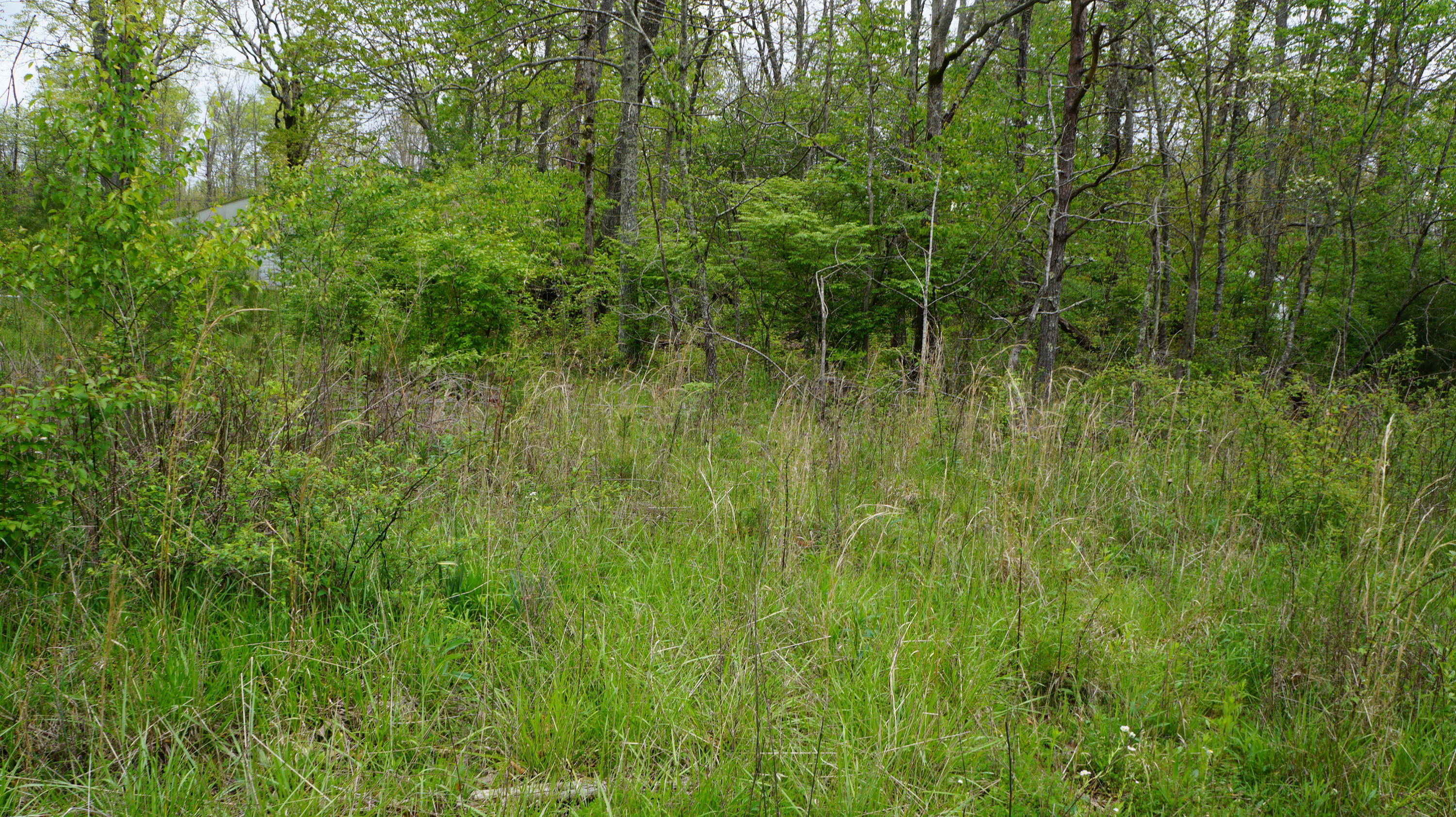 3004 Oswego Road Crossville, TN 38572 - Photo 2 of 7 2