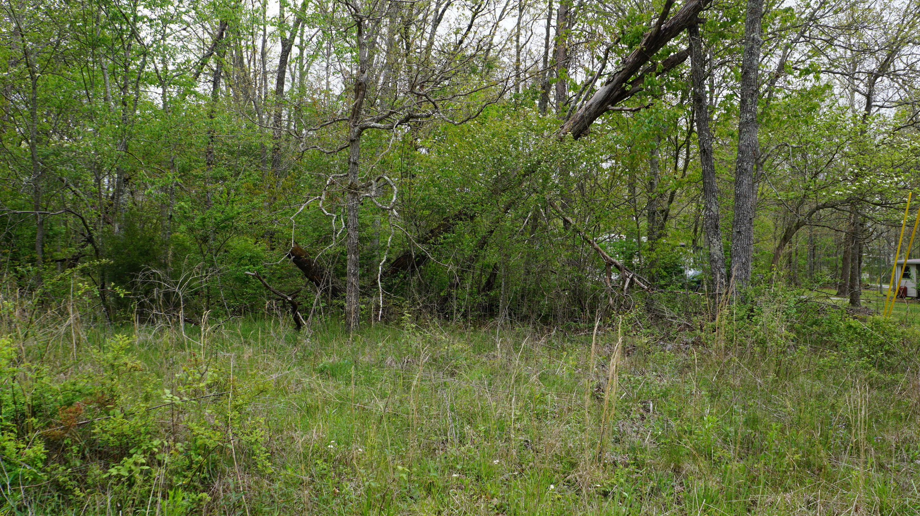 3004 Oswego Road Crossville, TN 38572 - Photo 5 of 7 5