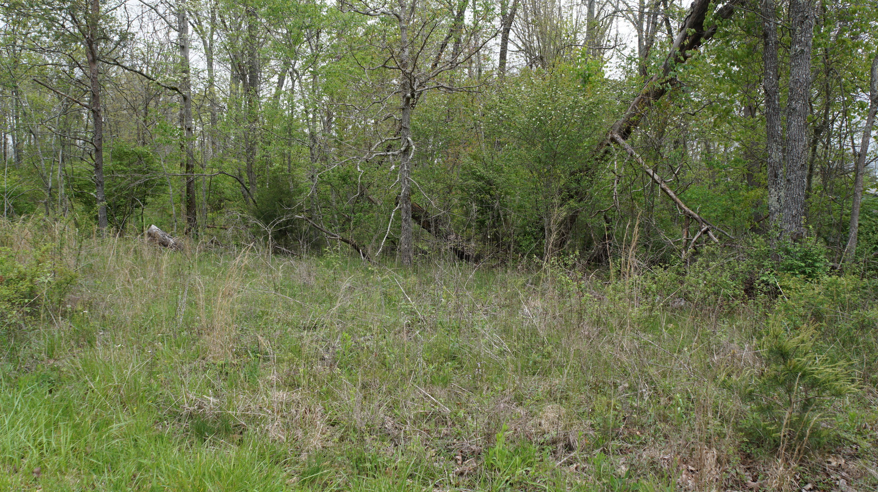 3004 Oswego Road Crossville, TN 38572 - Photo 7 of 7 7