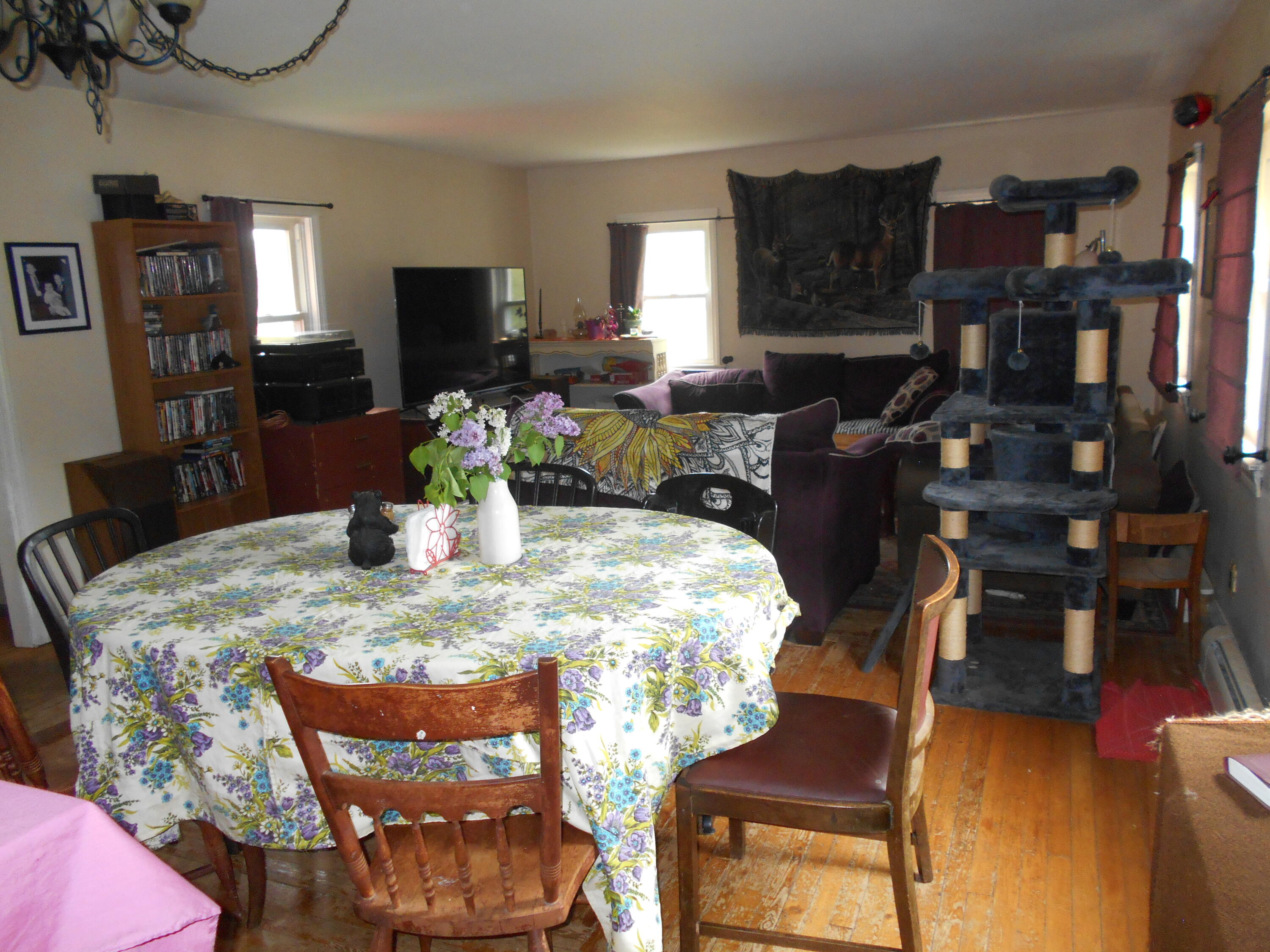 840 North Chester Road Lincoln, ME 04457 - Photo 60 of 68 DSCN7817